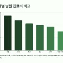 서울동물영상종양센터 | 🩺 2025 초음파 진료비용 리얼후기! 병원별 가격 비교부터 보험 적용까지 총정리