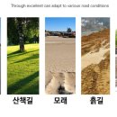 아이스휠 이미지