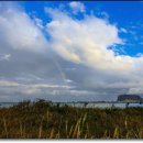 아톰서비스 이미지