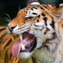 장룡민물장어나라 이미지