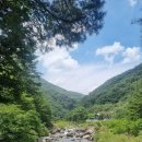 Everyday생활 영어 이미지