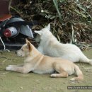 기특이네 농장 이미지