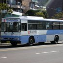 신한여객