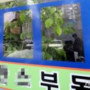 대치동부동산중개 이미지