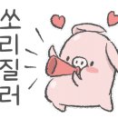 퓨전노래연습장 이미지