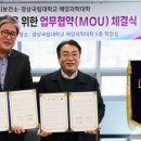 통영시보건소 네이버블로그
