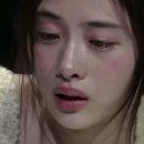 에스피티 이미지