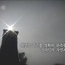 신라첨성대