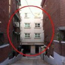 신월동166 이미지