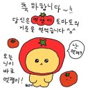 멋쟁이토마토