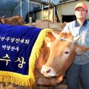 대술농장 이미지