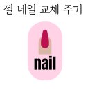 네일그림 - 천안시 동남구 | 네일그림