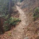 장군산길 이미지