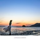 와온해변 티스토리