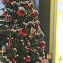 맑은눈안경 이미지