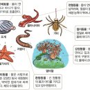 엠디19