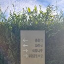 유당공원 내 비군 | 광양 여행 첫 일정 유당공원 둘러보기~