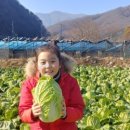 원평팜스테이마을 이미지