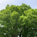 _나루터로2-2_ 이미지