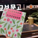 강남-009 | [009] 6월.zip