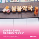 봄봄약국 이미지