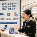 VISA해외할부
