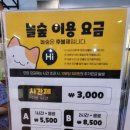 놀숲나주
