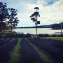 아서농장 이미지