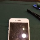 부용수지 이미지