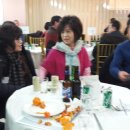 보안초 Daum카페