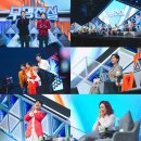 프로 25(1275) 이미지