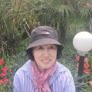 비블리아성서식물원 이미지