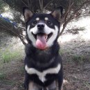 속리농원 이미지