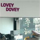 안산 애견미용, 엉킨 털도 아이 컨디션에 맞춰 편안하게 케어해 준 러비더비 후기