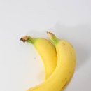 전영 농장 이미지