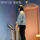 바이디짐 이미지