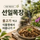 우림목장 | 선일목장 식물원에서 여름나기 | 의왕 백운호수 맛집