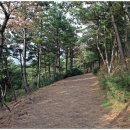 송악산 숲길 이미지