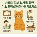 (12/15) 평생학습주간_작은 생태계 테라리움 | 반려묘 초보 집사를 위한 기초 관리법과 준비물 체크리스트