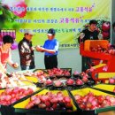 고흥석류친환경 영농조합법인
