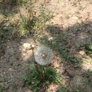 서초구립 양재별하어린이집 | 겨울철 어린이집 집단급식소 합동점검 결과