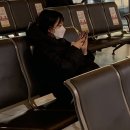 중문탐라만찬 | 겨울의 남쪽 제주 여행기 (1)