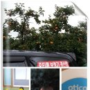 신명보청기 네이버블로그