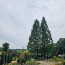 까치울역(7호선)(시비설치) | 부천 갈만한 곳 부천 자연생태공원 內 '부천 무릉도원수목원' 부천 수목원 꽃구경 (전국 수목원 정원...