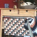 카페범보 이미지