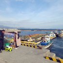 원전항 | 마산 원전항 해상펜션 도다리낚시 아쉬움이 가득한 출조기