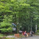 푸른길 작은도서관 이미지