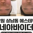 르네아바이더랩