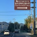 문막성모유치원 | 강원도 가을 은행나무 명소 원주 문막 반계리 은행나무 축제 정보, 주차정보, CCTV 정보, 아직은~~11...