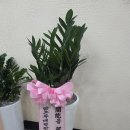 대현한의원 이미지